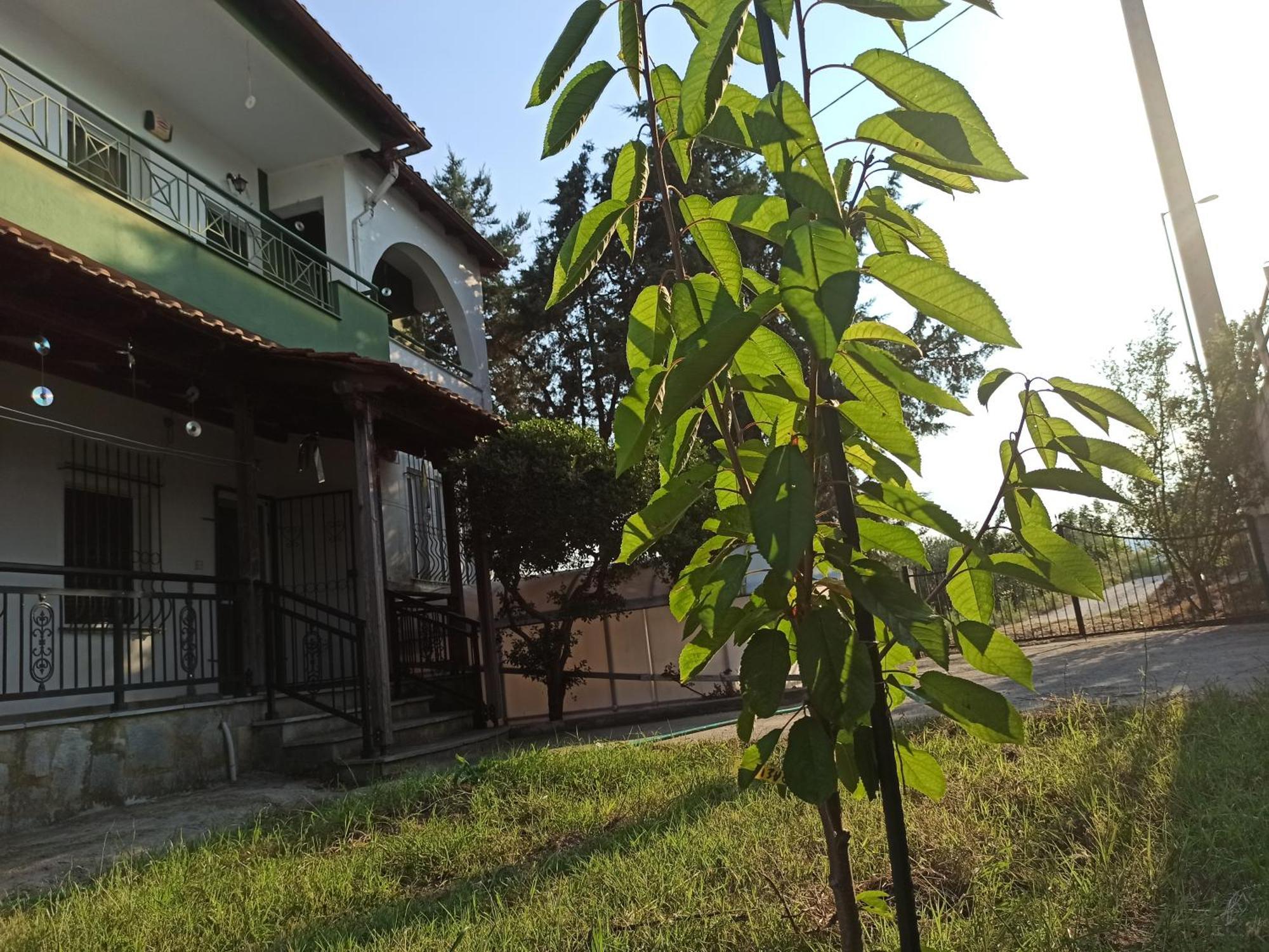 The Emerald Lopi, 2Km From Ammolofoi Beach! The Best Kept Secret In Nature, Of Nea Peramos Exterior photo